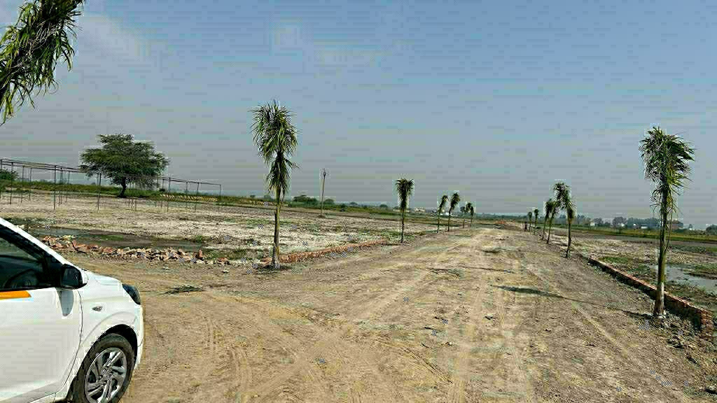 Plot For Resale in Sector 77 Noida  6153616