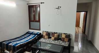 2 BHK Apartment For Rent in Adarsh Apartments Maidan Garhi Maidan Garhi Delhi 6154146