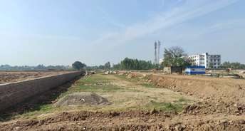  Plot For Resale in Sector 115 Chandigarh 6154550