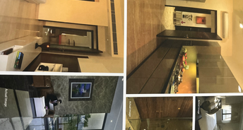 3 BHK Apartment For Resale in Ambience Creacions Sector 22 Gurgaon 6154689