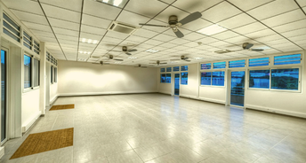 Commercial Shop 258 Sq.Ft. For Rent In Sector 50 Gurgaon 6154691