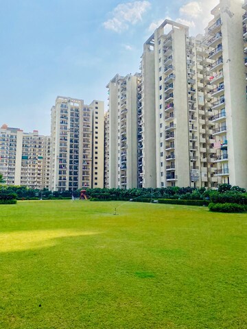3 BHK Apartment For Sale in MGH Mulberry County, Sector 70