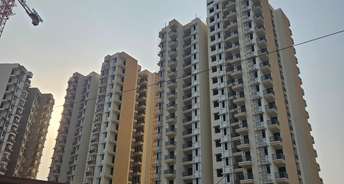 3 BHK Apartment For Resale in Sector 74 A Mohali 6154954