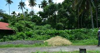  Plot For Resale in Kodungallur Thrissur 6155109