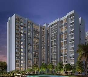 3 BHK Apartment For Rent in Gera World of Joy Kharadi Pune 6155199