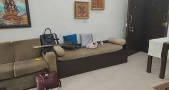 1 BHK Apartment For Rent in Rizvi Shalimar Khar West Mumbai 6155379