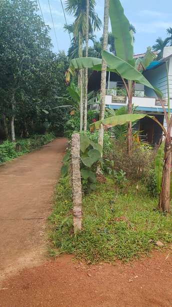 3 BHK Independent House For Resale in Adoor Pathanamthitta 6155702