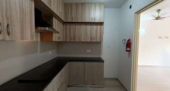 2 BHK Apartment For Rent in House of Hiranandani Devanahalli Devanahalli Bangalore 6155808