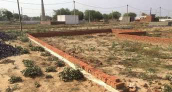  Plot For Resale in RWA Residential Society Sector 46 Sector 46 Gurgaon 6155888