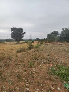 Commercial Land 2 Acre For Resale In Ranga Reddy Hyderabad 6155929