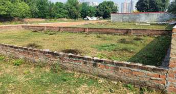  Plot For Resale in Ansal Sushant Golf city Sushant Golf City Lucknow 6156076