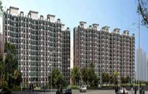 3 BHK Apartment For Rent in Tulip White Sector 69 Gurgaon 6156258
