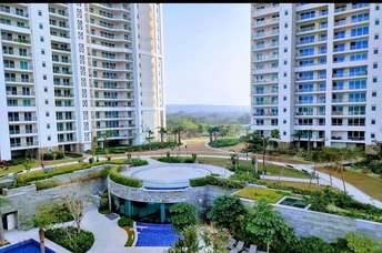 4 BHK Apartment For Rent in DLF The Crest Sector 54 Gurgaon  6156348