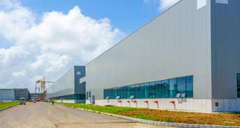 Commercial Warehouse 40000 Sq.Ft. For Rent In Dadri Greater Noida 6156610