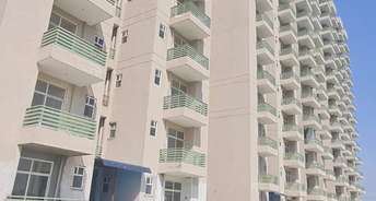 1 BHK Apartment For Resale in Mehak Jeevan Raj Nagar Extension Ghaziabad 6157263