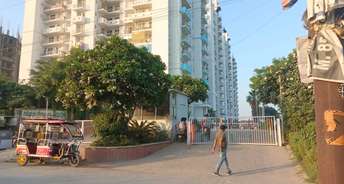 3 BHK Apartment For Resale in Value Infra Meadows Vista2 Raj Nagar Extension Ghaziabad 6157313