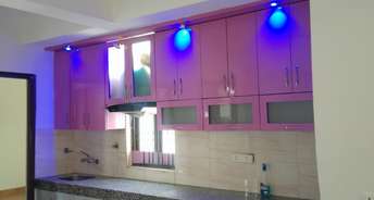 2 BHK Apartment For Resale in Auric City Homes Sector 82 Faridabad 6157557
