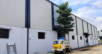 Commercial Warehouse 13200 Sq.Ft. For Resale In Kumbalgodu Bangalore 6158204