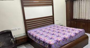 3 BHK Apartment For Rent in Chaitanya Puri Hyderabad 6158667