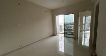 1 BHK Apartment For Rent in Godrej Hillside 2 Mahalunge Pune 6158946