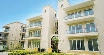 4 BHK Apartment For Resale in BPTP Amstoria Country Floor  Sector 102 Gurgaon 6159010