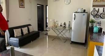 2 BHK Apartment For Resale in Aditya City Apartments Bamheta Ghaziabad 6159366