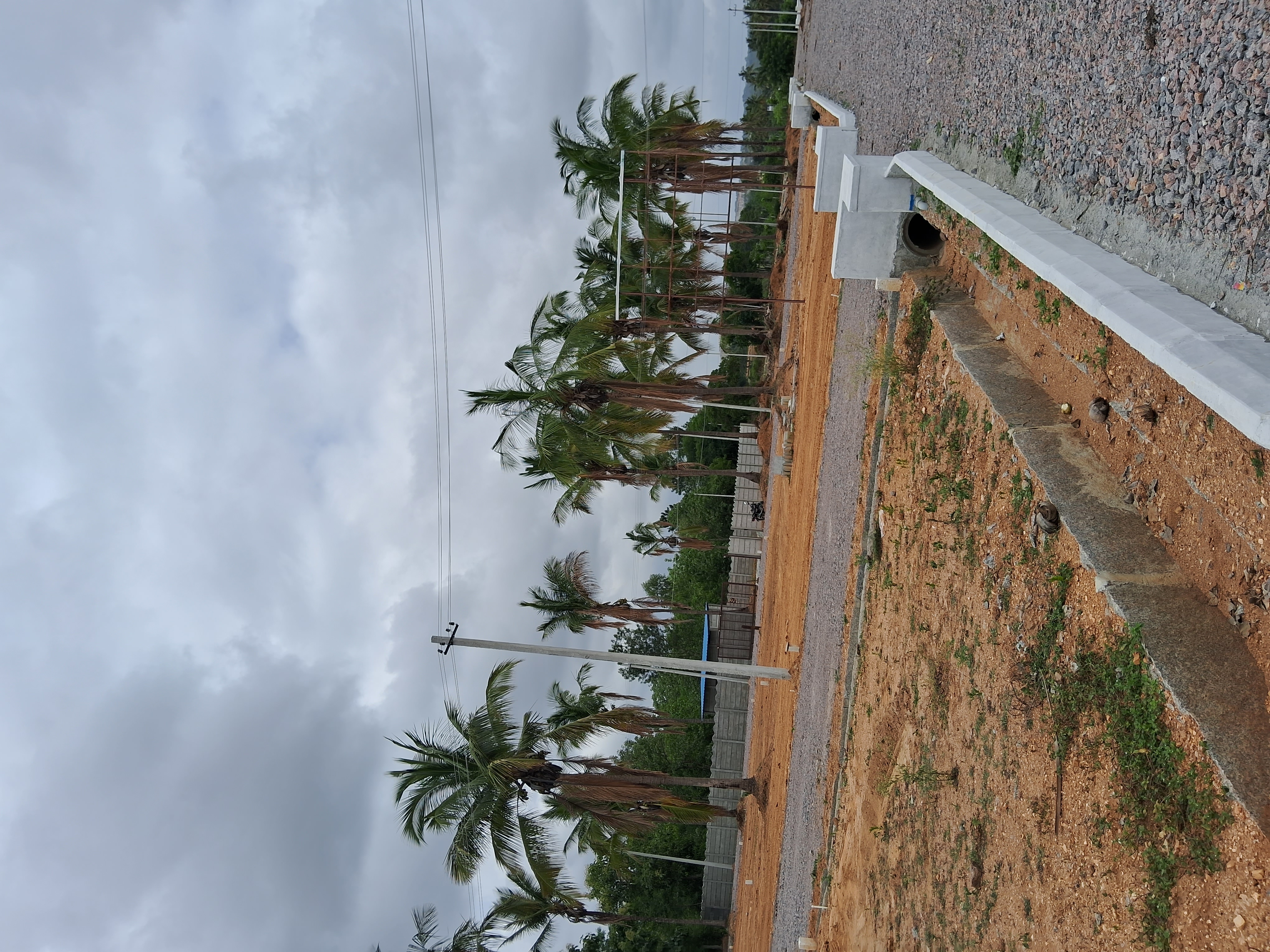 Plot For Resale in Sondekoppa Bangalore  6159418