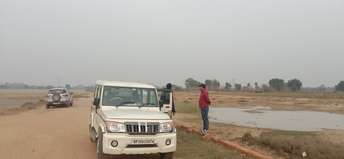  Plot For Resale in Tappal  Greater Noida 6160631