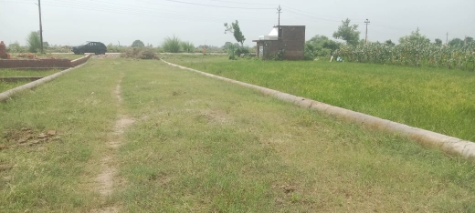 Plot For Resale in Sultanpur Road Lucknow  6160784