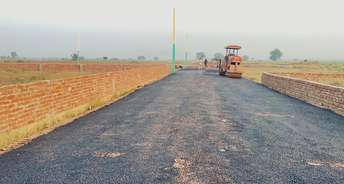  Plot For Resale in Tappal  Greater Noida 6160876