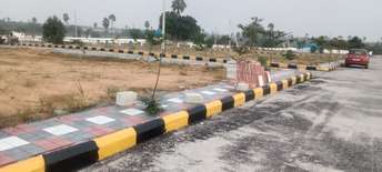  Plot For Resale in Doctors Colony Warangal 6160868