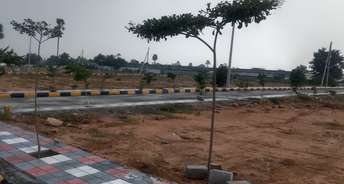  Plot For Resale in Keerthi Colony Warangal 6160973