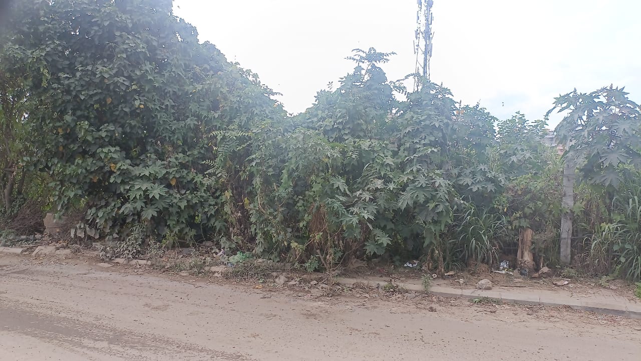 Resale 5040 Sq.Ft. Plot in Whitefield Bangalore 6161365