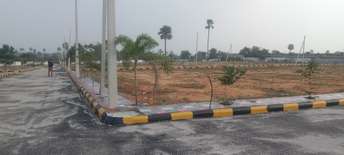  Plot For Resale in Paidi Pally Warangal 6161407