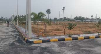  Plot For Resale in Paidi Pally Warangal 6161407