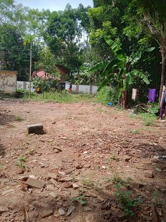 Plot For Resale in Kovoor Kollam  6162351