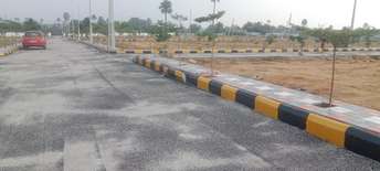  Plot For Resale in Boduppal Hyderabad 6162499