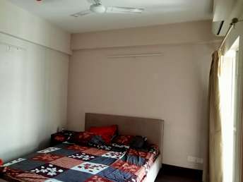 3 BHK Independent House For Rent in Sector 41 Noida 6162501