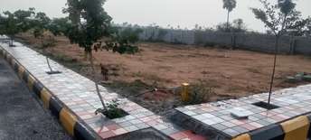  Plot For Resale in Musheerabad Hyderabad 6162862