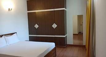 4 BHK Apartment For Rent in DLF The Icon Dlf Phase V Gurgaon 6162942