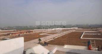  Plot For Resale in Yaqubpur Noida 6163058
