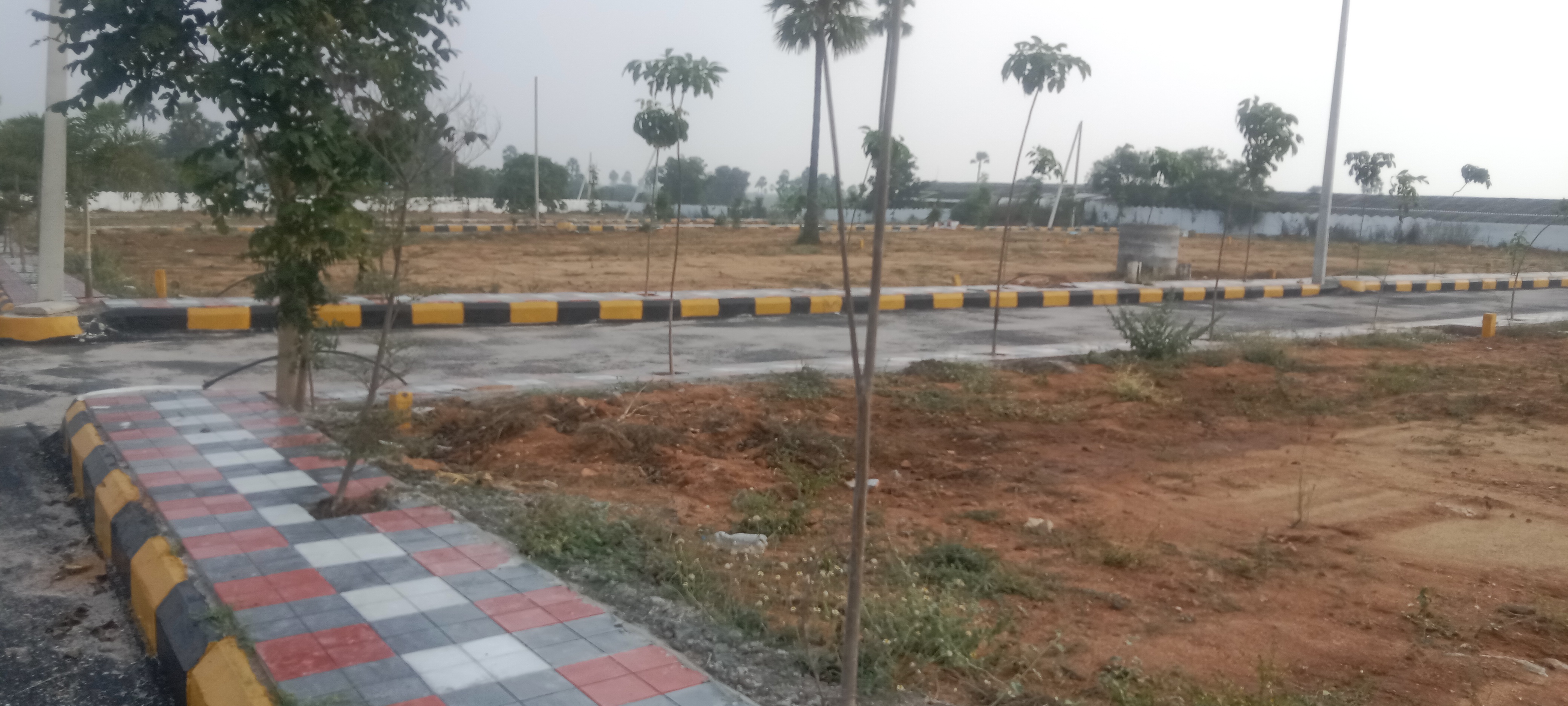  Plot For Resale in Warasiguda Hyderabad 6163094