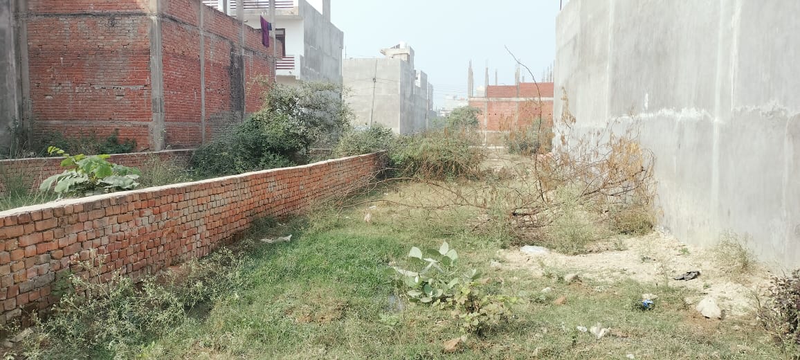 Plot For Resale in Gomti Nagar Lucknow  6163410