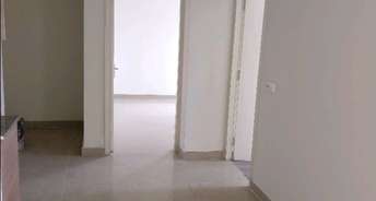 2 BHK Apartment For Rent in Gaur City 2 12 Th Avenue Noida Ext Sector 16c Greater Noida 6163518