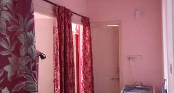 2 BHK Apartment For Rent in Sunflower Apartment CHS Kondhwa Pune 6164336