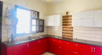 2 BHK Builder Floor For Rent in Sector 125 Mohali 6165041