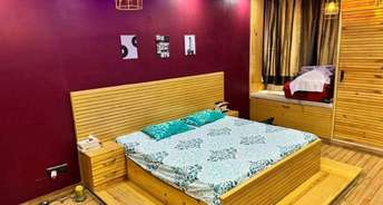 1 BHK Apartment For Rent in Suncity Gloria Apartments Sarjapur Road Bangalore 6165444