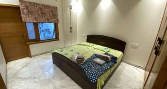4 BHK Independent House For Rent in Aman Vihar Dehradun 6165506