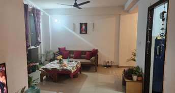 2 BHK Apartment For Rent in Sikka Kaamna Greens Sector 143 Noida 6165826