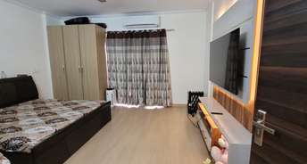 3 BHK Builder Floor For Rent in Indraprastha Colony Faridabad 6165855